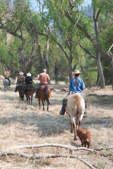 USA-New Mexico-Southwest Pack Trips